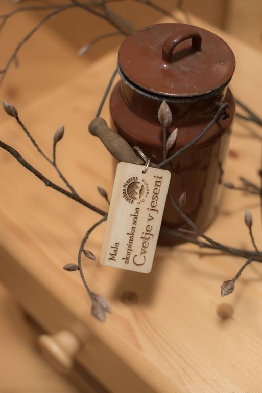 Brunarica Bohinj Ngoại thất bức ảnh